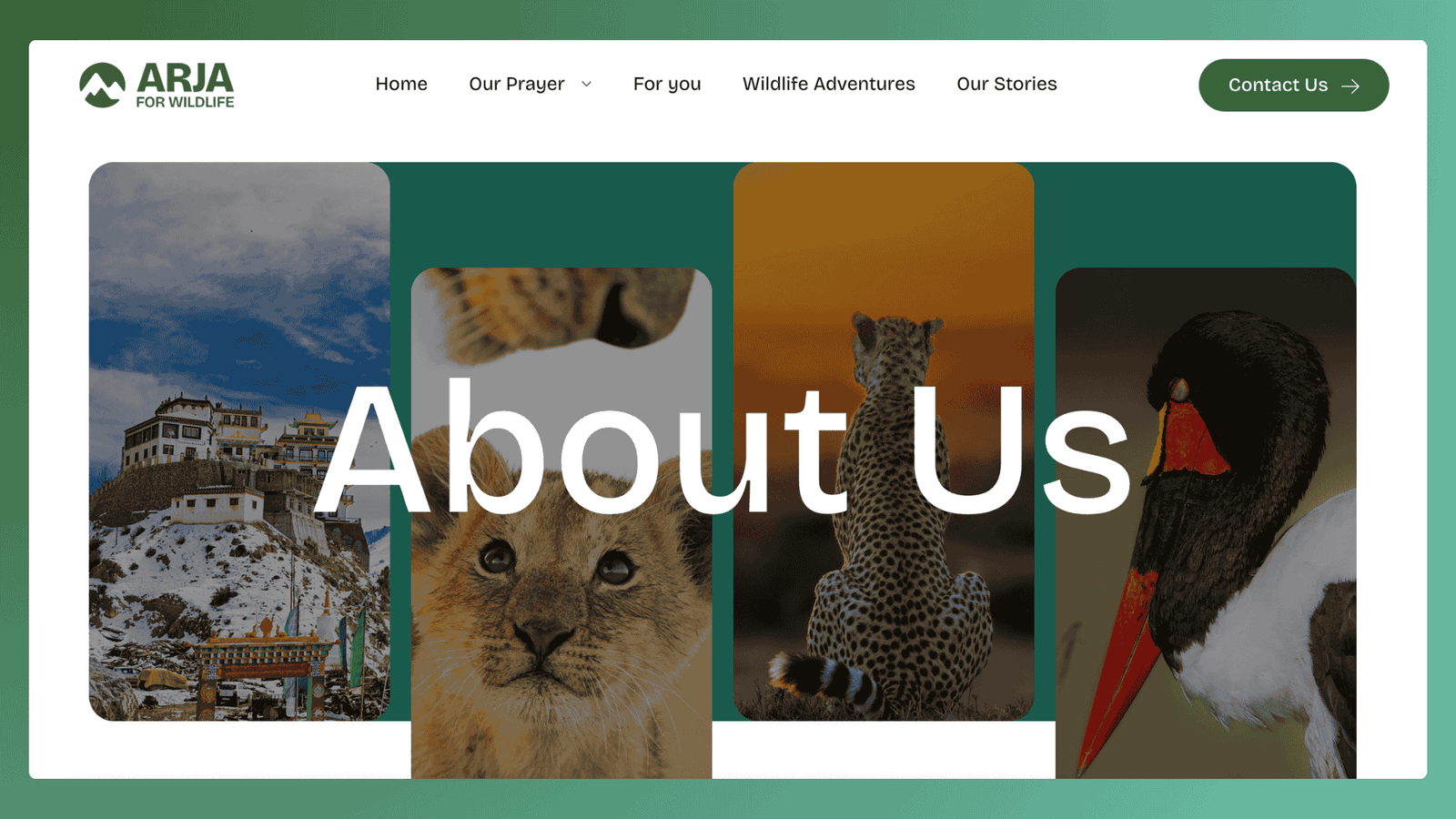 Website Development Services for Arja for Wildlife By Flashyminds